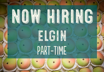 Elgin - Part Time - 16 Hours