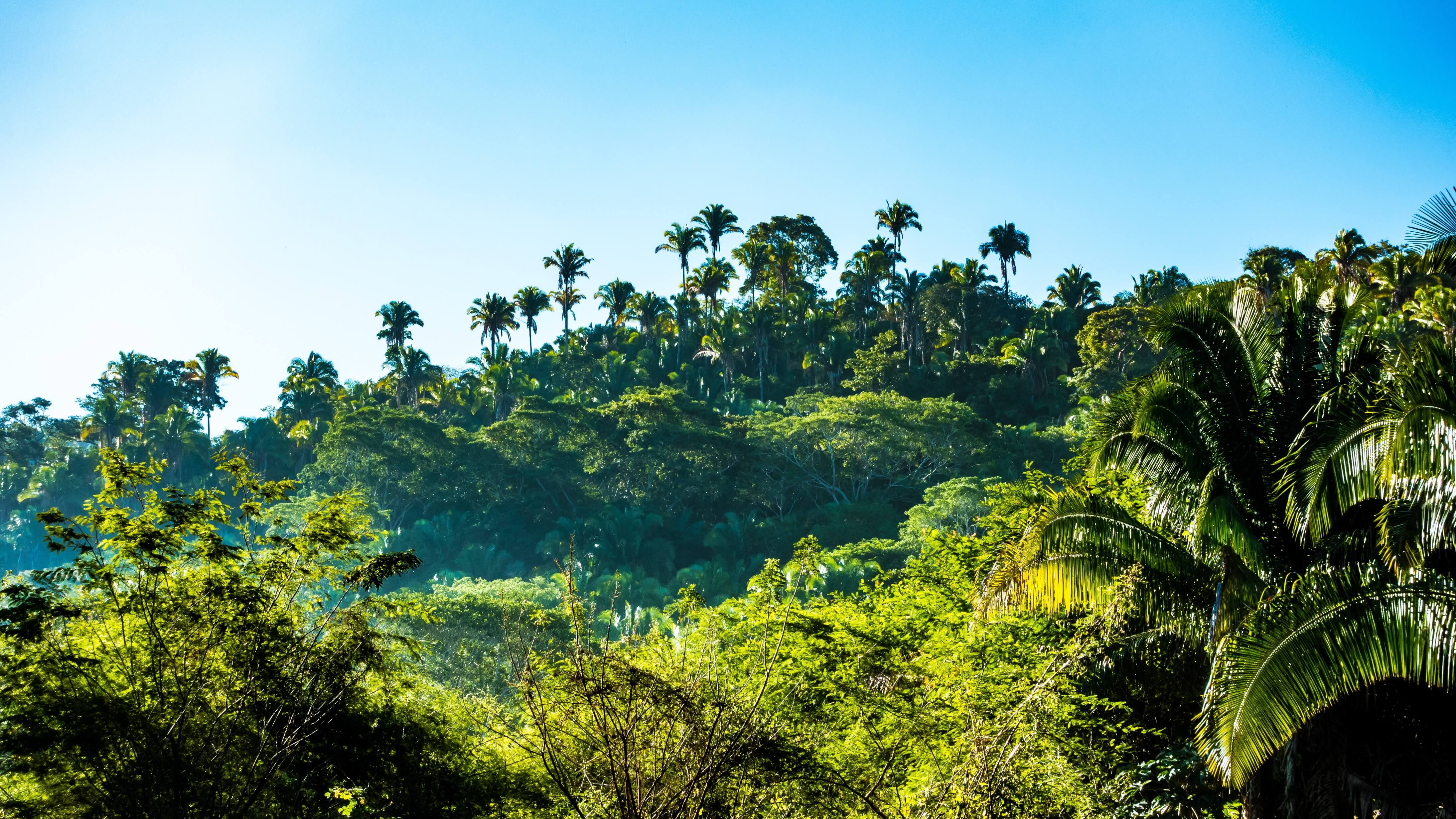 Recognising Global Impact