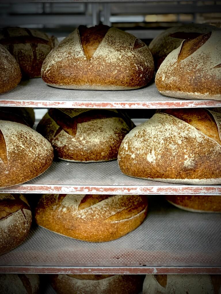 Sourdough Science