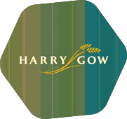 Hg Logo 2000